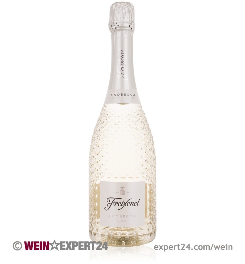 Freixenet Prosecco Doc 75CL           